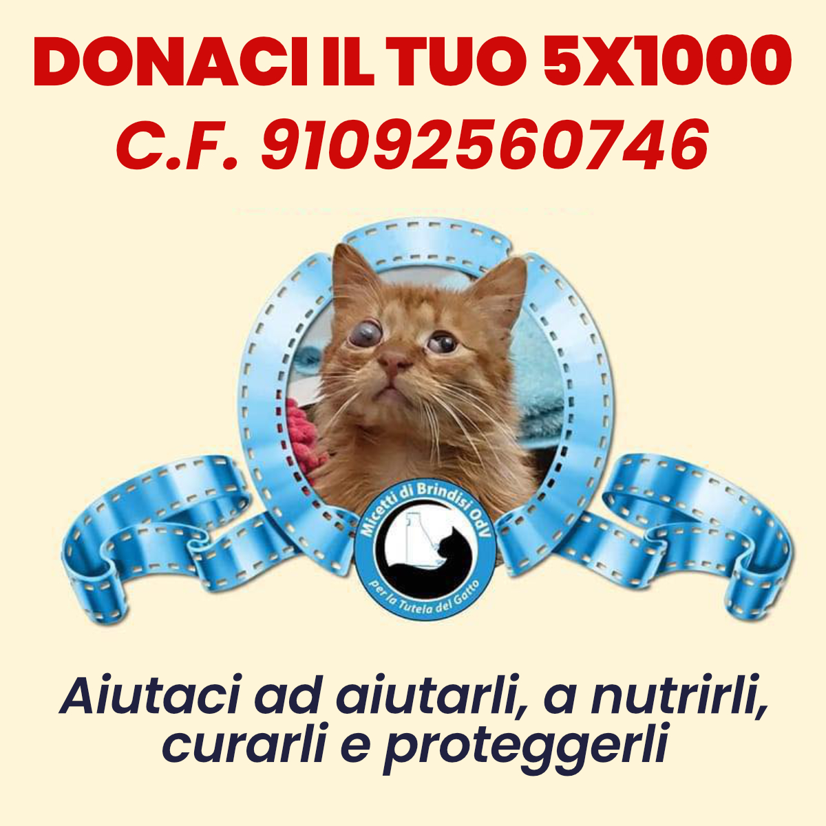 Image for MICETTI NEL VERDE
