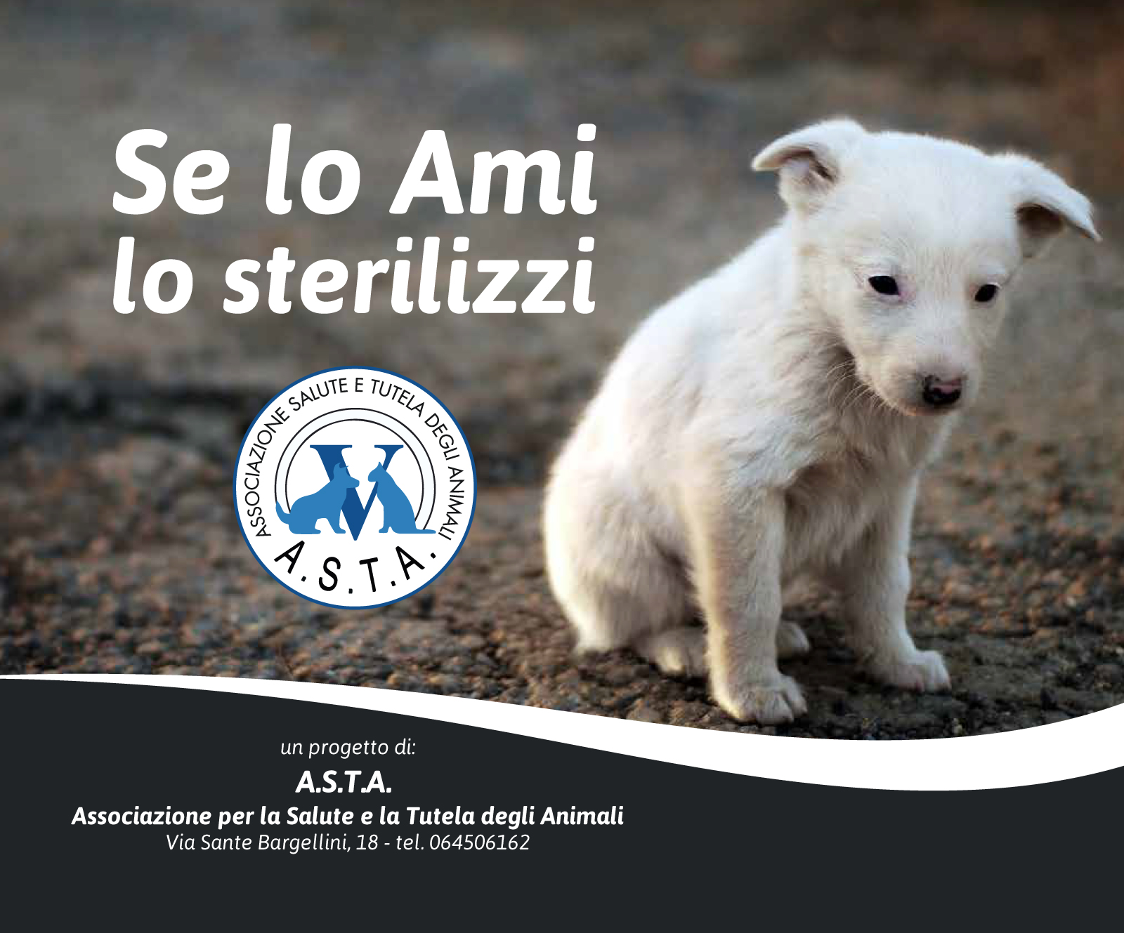 Image for se lo ami lo sterilizzi