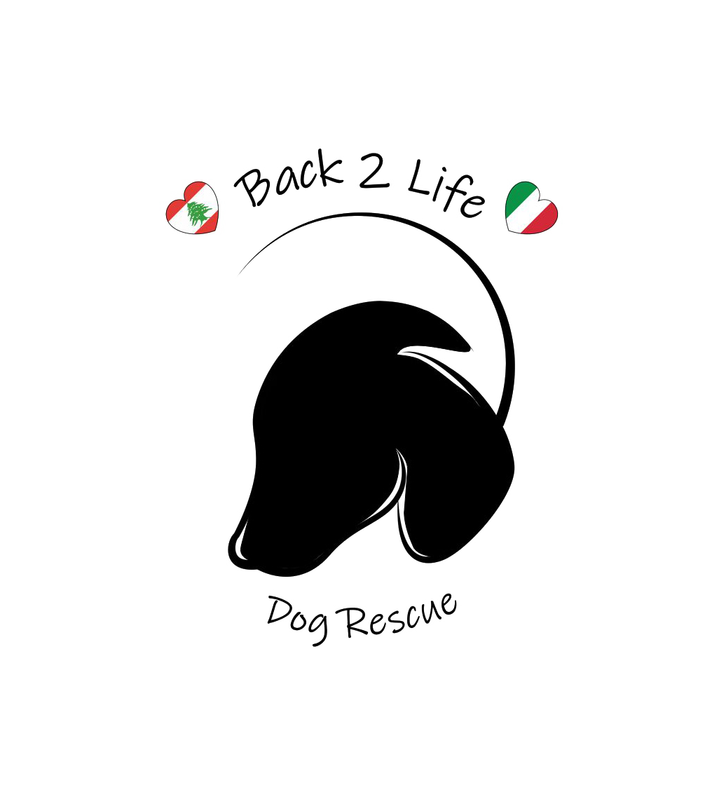 Project Logo