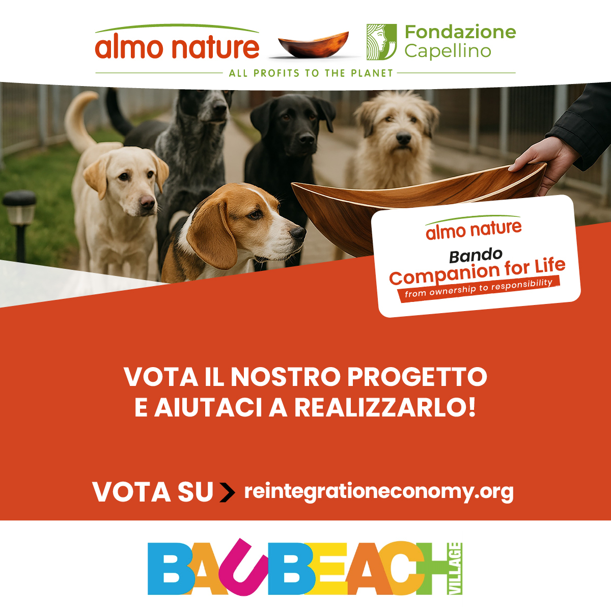 Image for INSEGNANTE BUON CINOFILO
