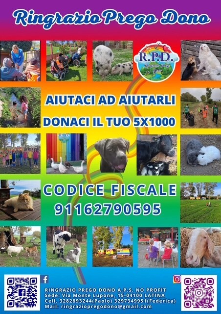 Image for CAMPAGNA DI STERILIZZAZIONE E DI VETERINARIA SOCIALE - Un aiuto contro il randagismo e un sostegno concreto per le famiglie fragili e i loro animali