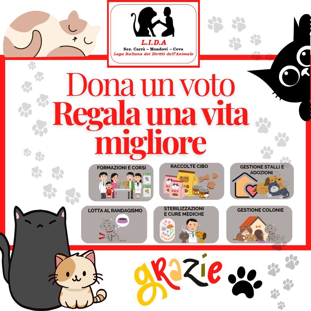 Image for ''Cittadini Responsabili: Educazione, Cura e Adozione dei Gatti Randagi”