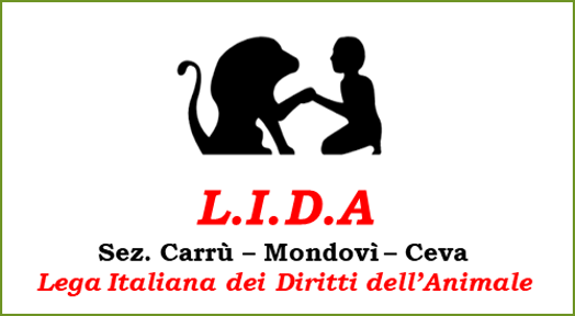 Project Logo
