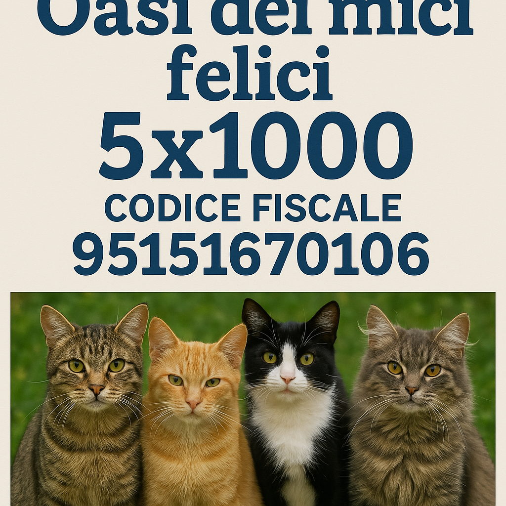 Image for Una Zampa ai Gatti dimenticati da Tutti