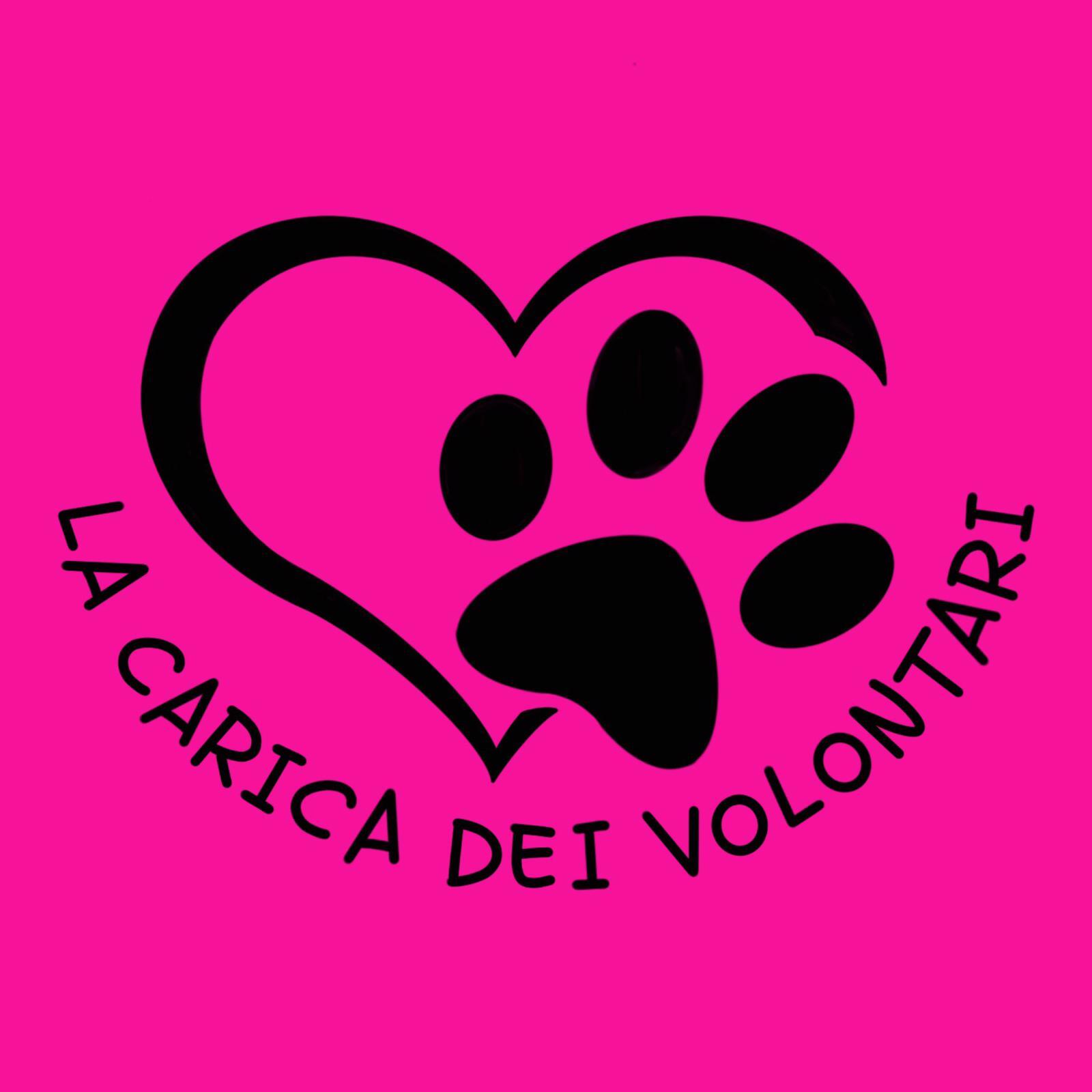 Image for STERILIZZARE E' UN ATTO D'AMORE