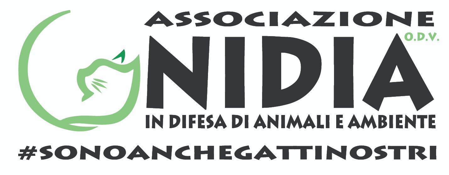 Project Logo
