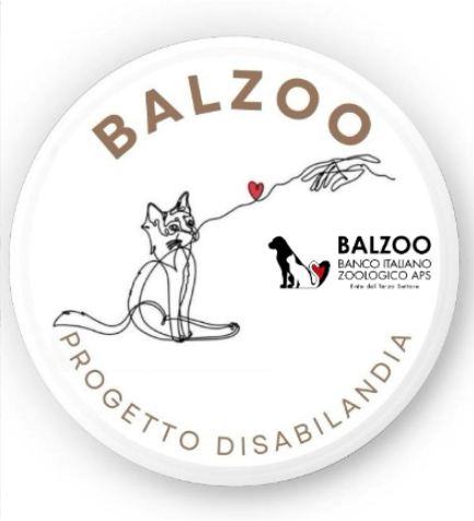 Image for Balzoo Disabilandia
