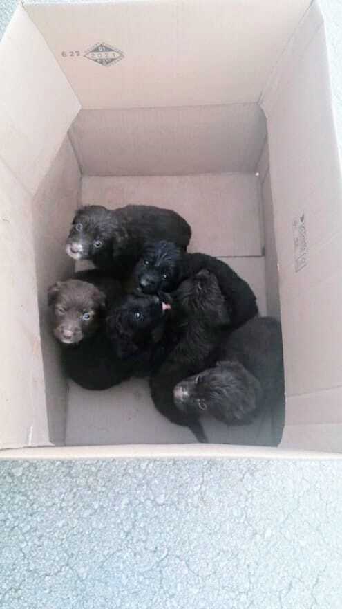 Additional Photo 2