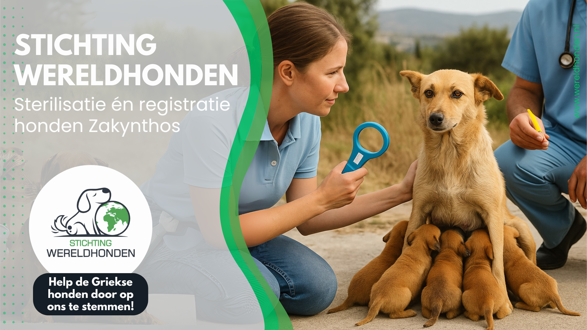 Image for Sterilisatie én registratie honden Zakynthos