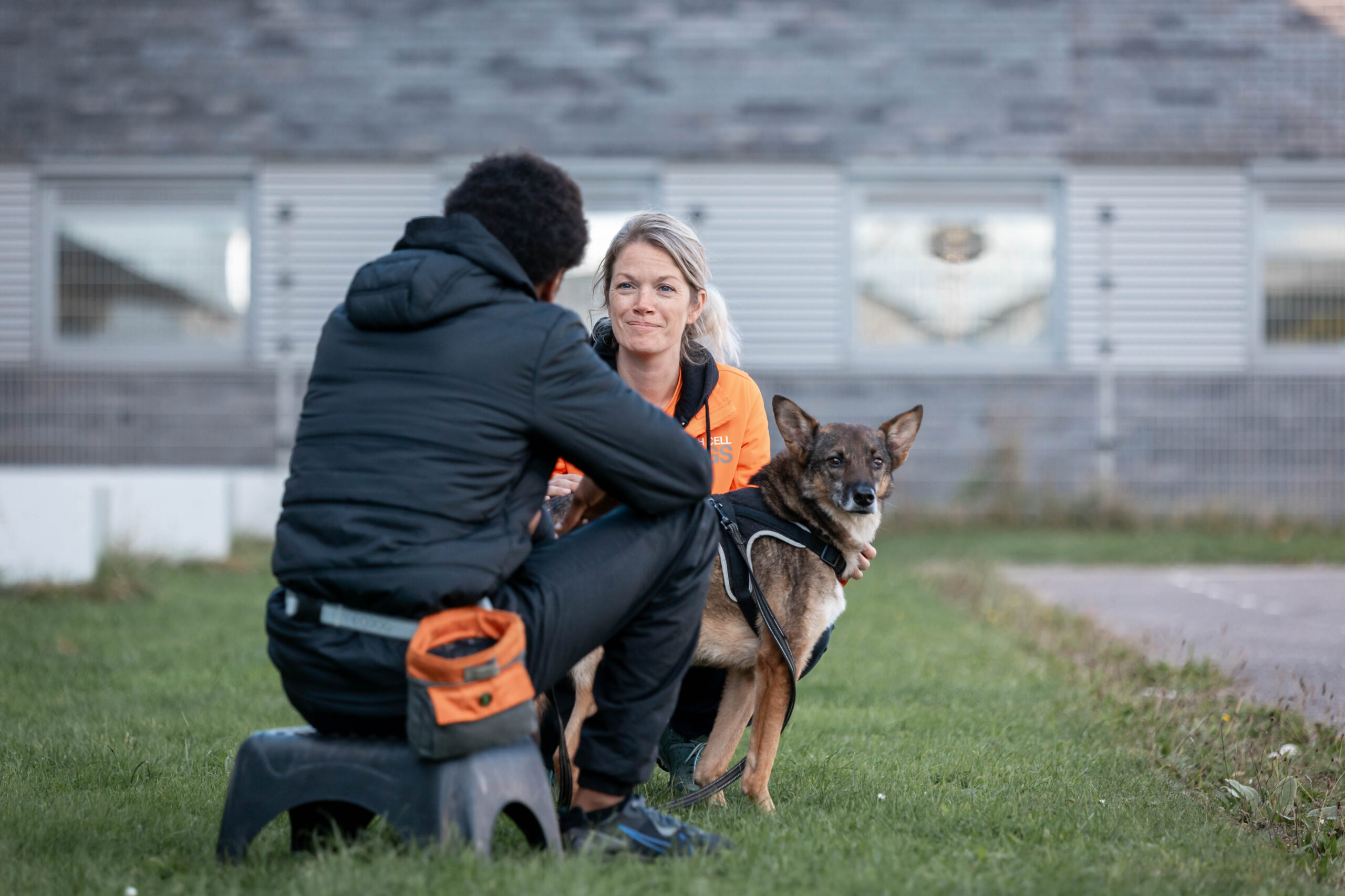 Image for Stichting Dutch Cell Dogs