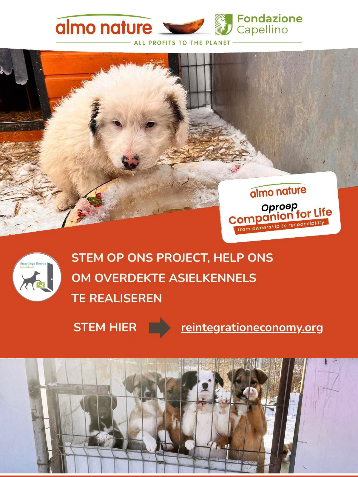 Image for Kennels voor Elisa