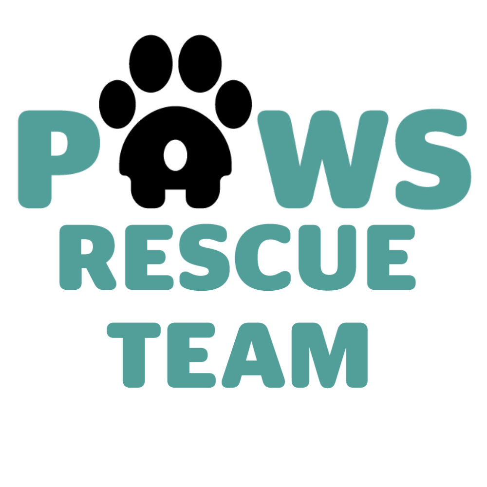 Project Logo