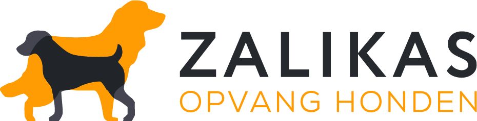 Project Logo