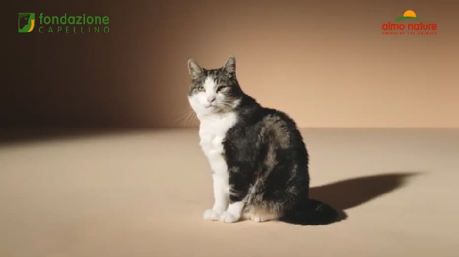 Riconnettiti con la natura. Portami fuori da questo gattile