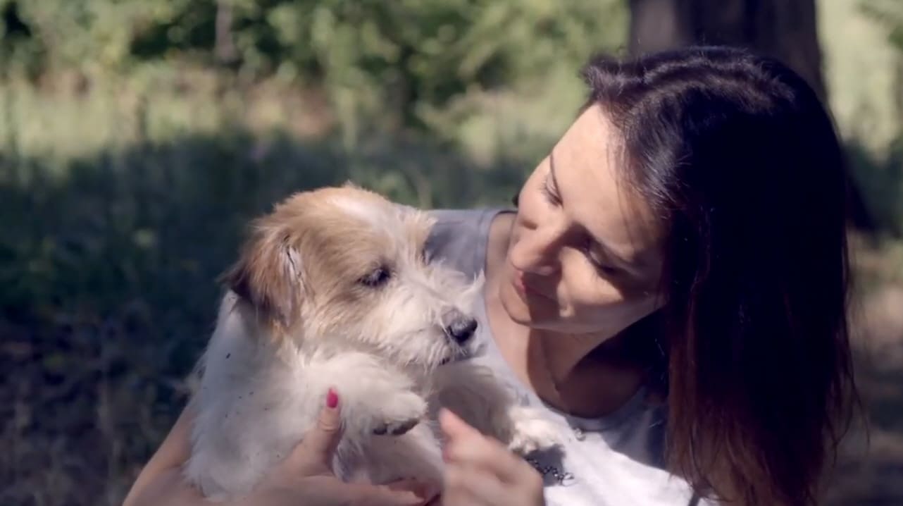 Almo Nature presenta: dal loro punto di vista. Il racconto di Emy.