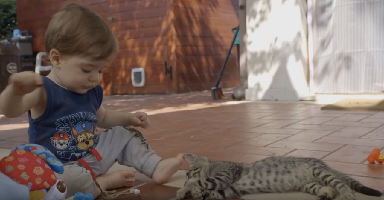 Almo Nature presenta: dal loro punto di vista. Il racconto di Simba.