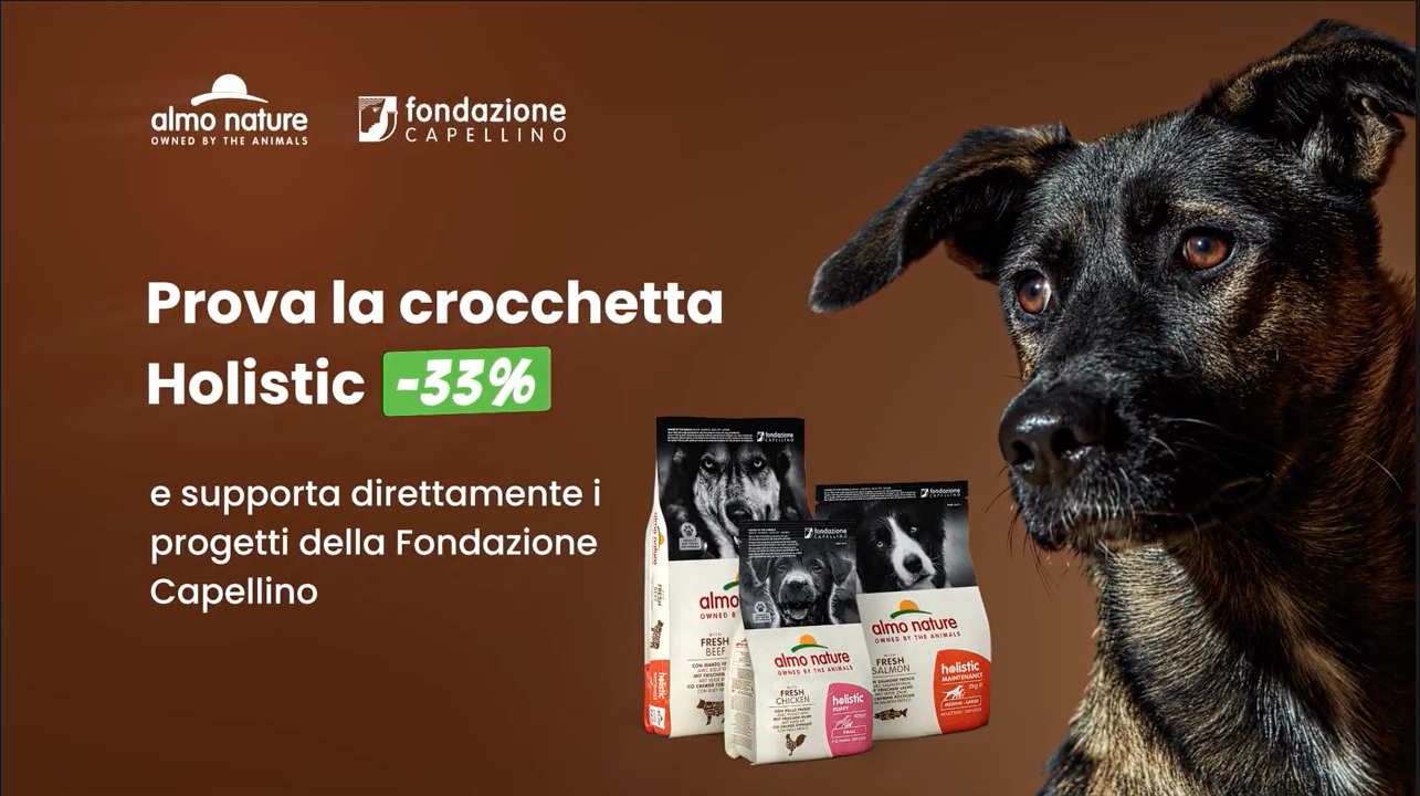 Offerta - 33% crocchette Holistic cane. Preparate con carne o pesce fresco