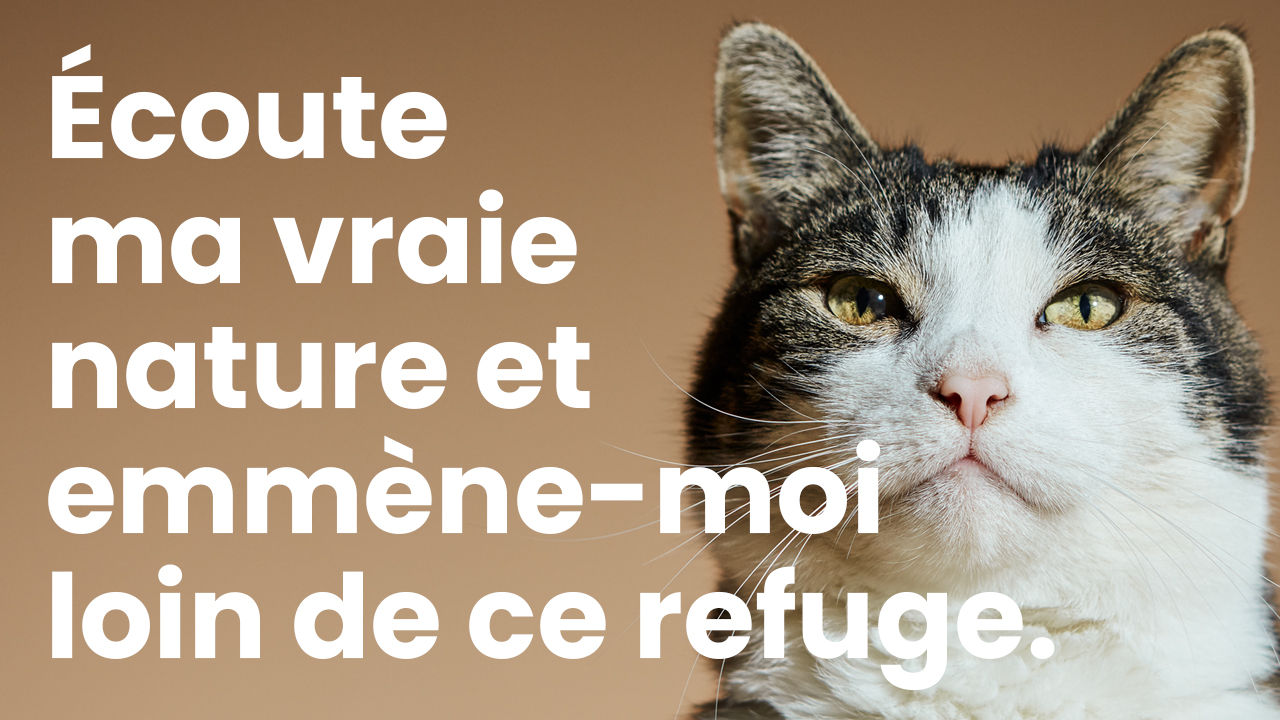 JUST FREEDOM: Le monde à travers les yeux de deux jeunes loups - Almo Nature