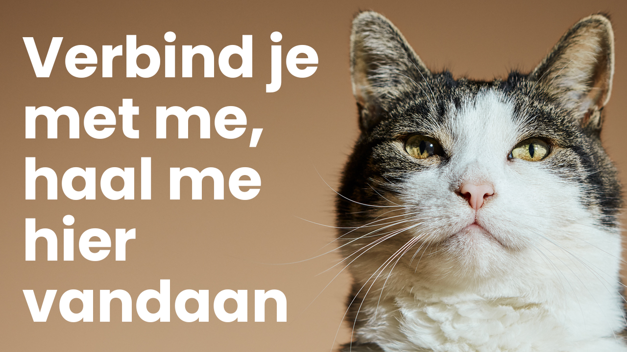 Verbind je met me, haal me hier vandaan