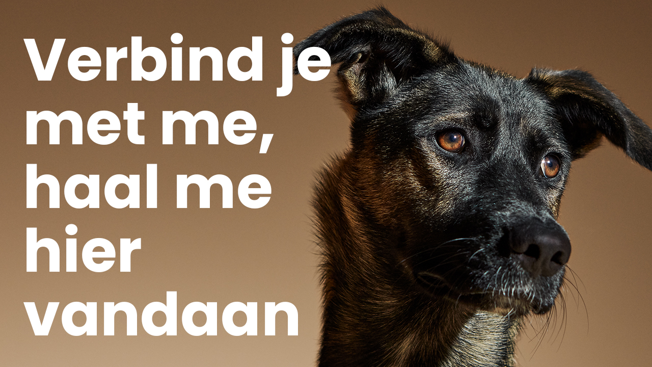 Verbind je met me, haal me hier vandaan